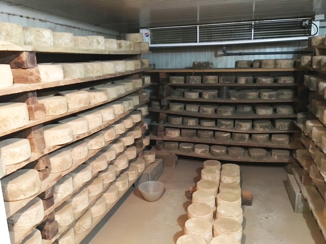 Fromagerie Zozaya